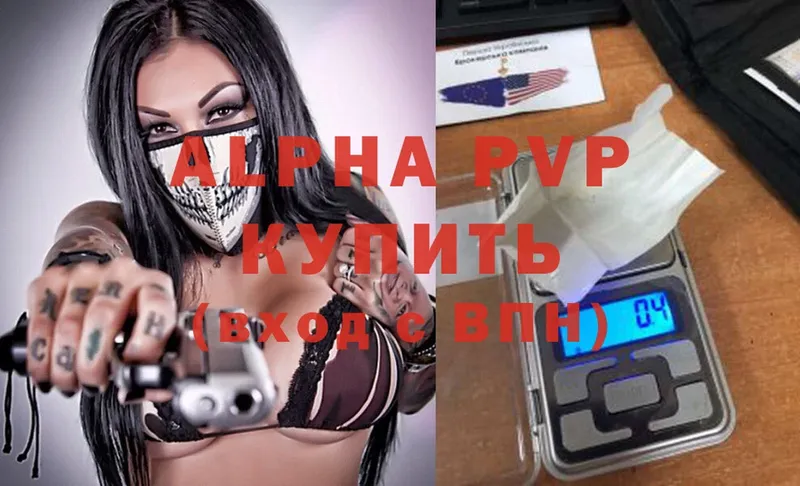 как найти наркотики  Шуя  Alpha-PVP СК КРИС 