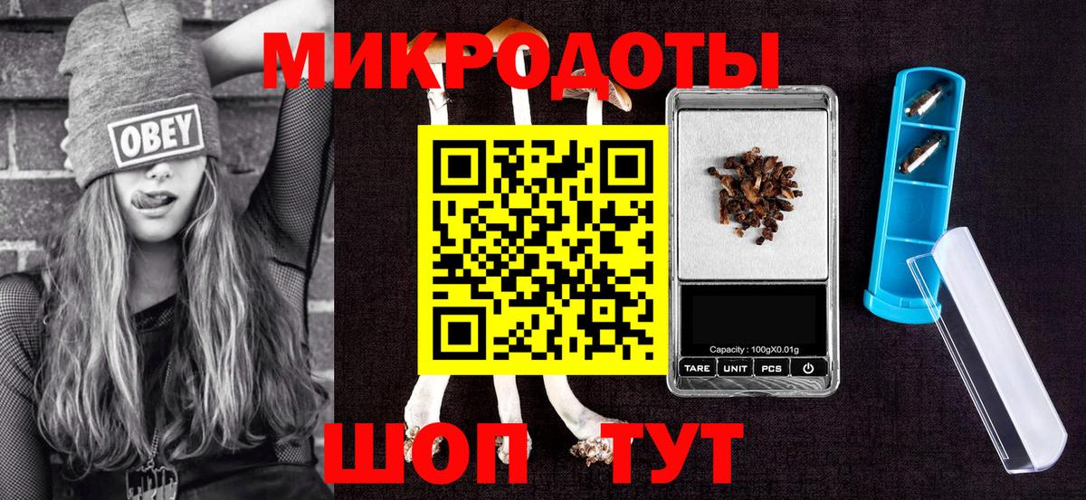 Галлюциногенные грибы Psilocybine cubensis Шуя