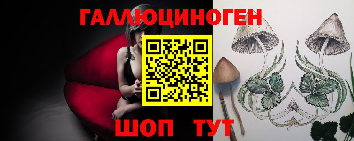 Псилоцибиновые грибы ЛСД  Вход с VPN  Псилоцибиновые грибы прущие грибы  Шуя 