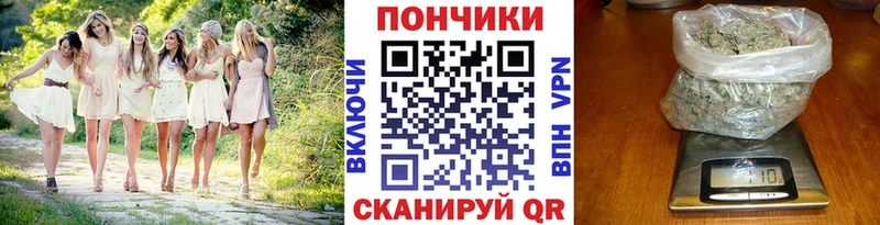 Бошки Шишки сатива  цена наркотик  Шуя 