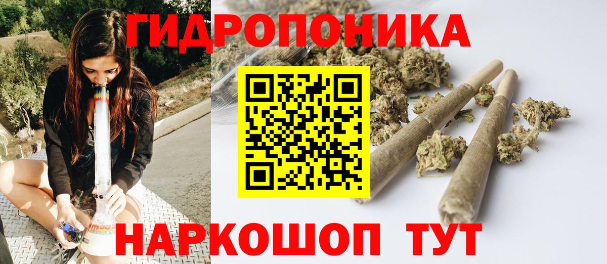 Бошки Шишки марихуана Шуя